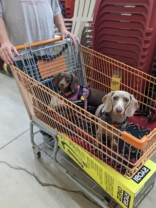 The Home Depot