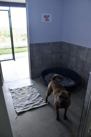 Luscofusco Residencia Canina