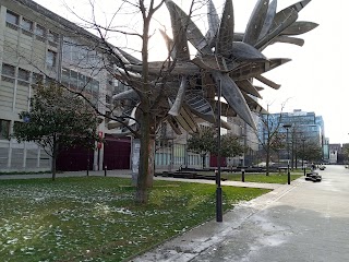 Université Paris Cité - Campus Grands Moulins