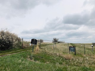 Nine-Mile Prairie Historical Marker