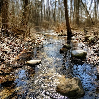 Cobus Creek County Park