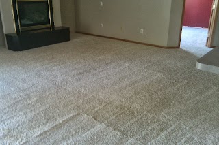 Daisy Carpet Cleaning