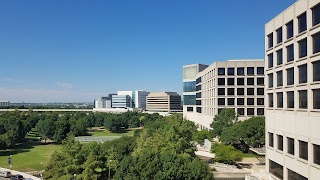 Harold C. Simmons Comprehensive Cancer Center