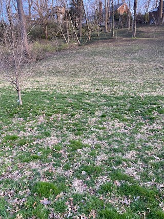 Castlewood Open Space