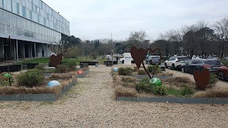 Centre Hospitalier​ Universitaire de Bordeaux