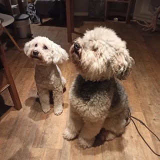 Hundesalon am Tierpark