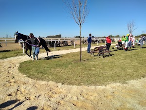 Hipódromo Ciudad de Dolores