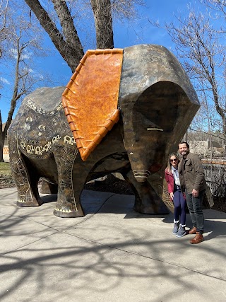 Elephant Encounter at Hogle Zoo