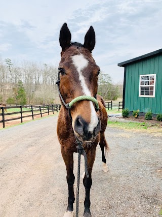 Battlefield Park Polo Club and Equestrian Center