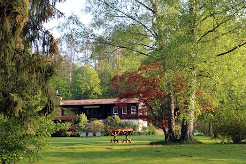 Ferienhaus Naturliebe: Ferienhaus mit Hund mieten in Alleinlage am Wald mit Sauna, Kamin, in Vogelsberg, Hessen, Deutschland