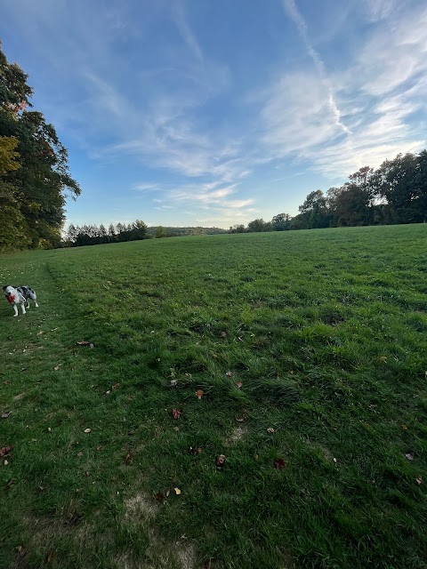 Eriksen Farm Open Space