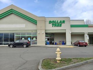 Dollar Tree