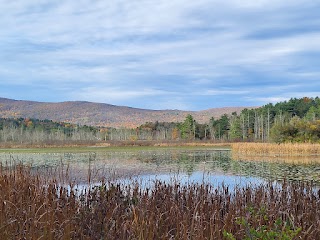 Karner Brook Wildlife Management Area