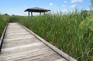 Lake Sedgewick