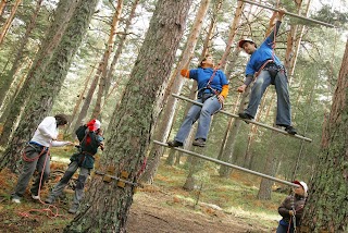 Amazonia Team Factory - Team Building Madrid