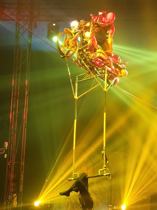 Cirque Italia Gold Water Circus