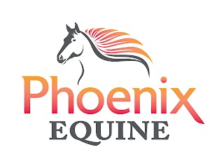 Phoenix Equine Veterinary Services, LLC