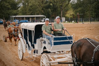 TDR Carriages LLC (Triple Diamond Ranch)