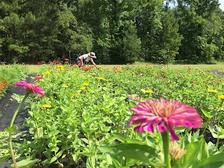 Ingadi Flower Farm