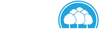 Bell Insurance