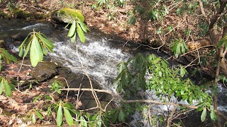 Upper Log Hollow Falls