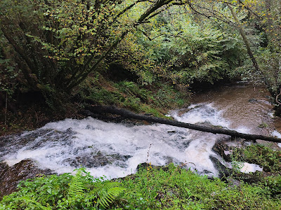 Fervenza do Choufano