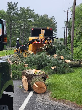 Big Timber Tree Service LLC