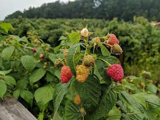 Sunnycrest Farm