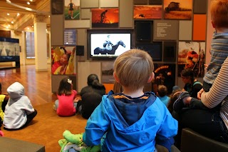 Oklahoma Hall of Fame