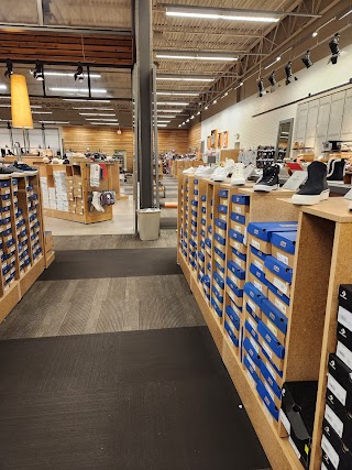 DSW Designer Shoe Warehouse