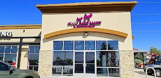 Woof Gang Bakery & Grooming Albuquerque