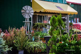 Alameda Greenhouse