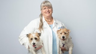 VCA SouthPaws Veterinary Specialists & Emergency Center