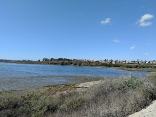 Upper Newport Bay Nature Preserve