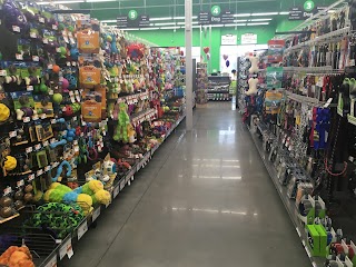 Pet Supplies Plus Nashua