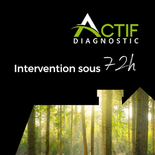 Diagnostics Immobilier