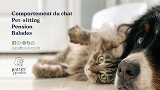 Pattes'O'Calm - Comportementaliste félin et Pet-Sitter