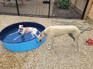 The Bark Park & Patio