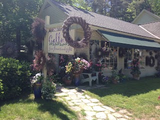 Calluna Fine Flowers