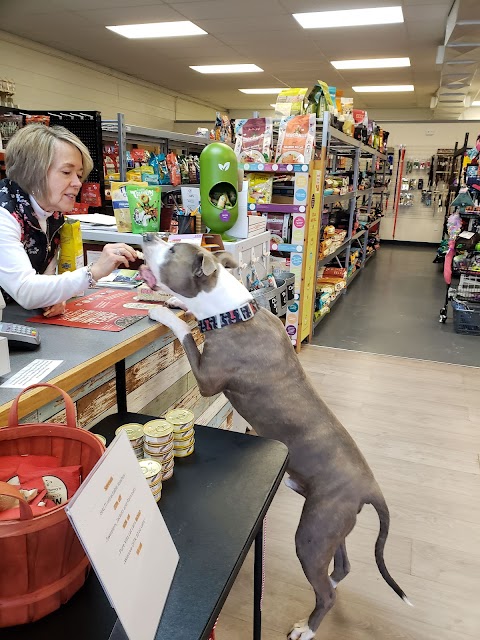 Photo of Prohund Pet - 2731 Lewisville Clemmons Road, Clemmons, NC 27012, USA