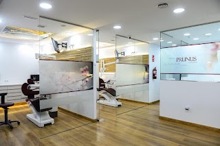 Prunus Dental Clinic