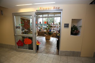 The Flower Box at Maine Medical Center