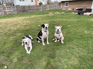 Pender Veterinary Centre - Manassas