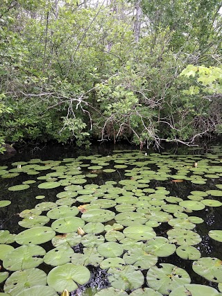 Yale Outdoor Education Center