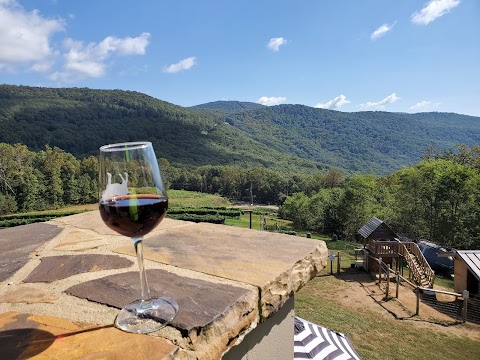Photo of Fainting Goat Vineyards - 201 Vineyard Way, Jasper, GA 30143, USA