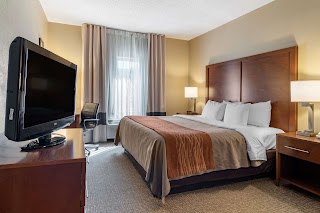 Comfort Inn & Suites Suwanee - Sugarloaf