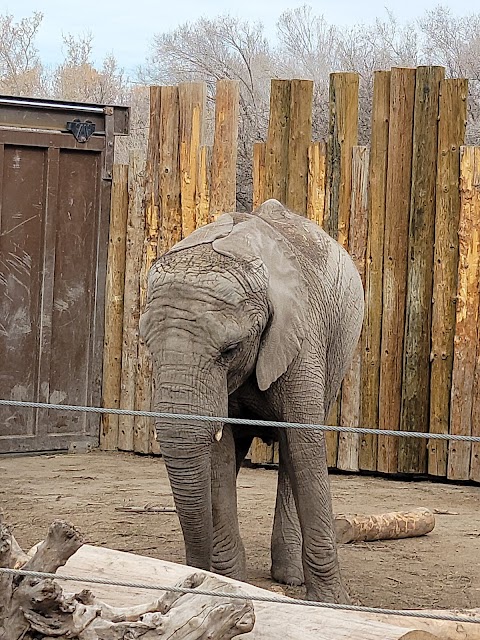 Utah's Hogle Zoo