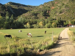 The Bunkhouse at HappyOurs Ranch