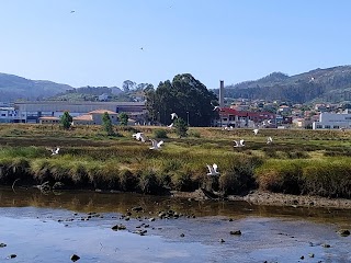 Xunqueira do Lagares