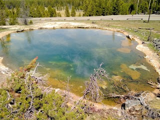 Leather Pool